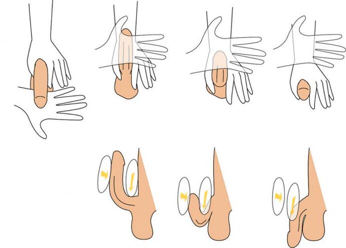 To bend the penis to increase
