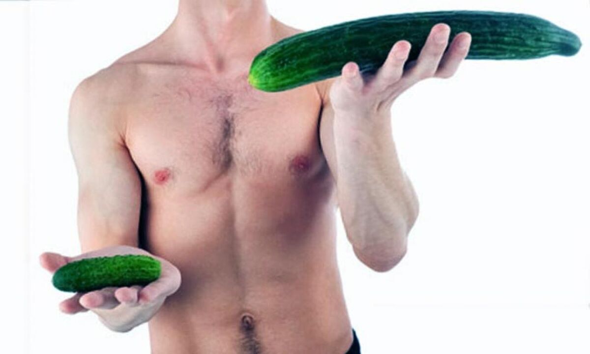 big and small dick size on the example of cucumber